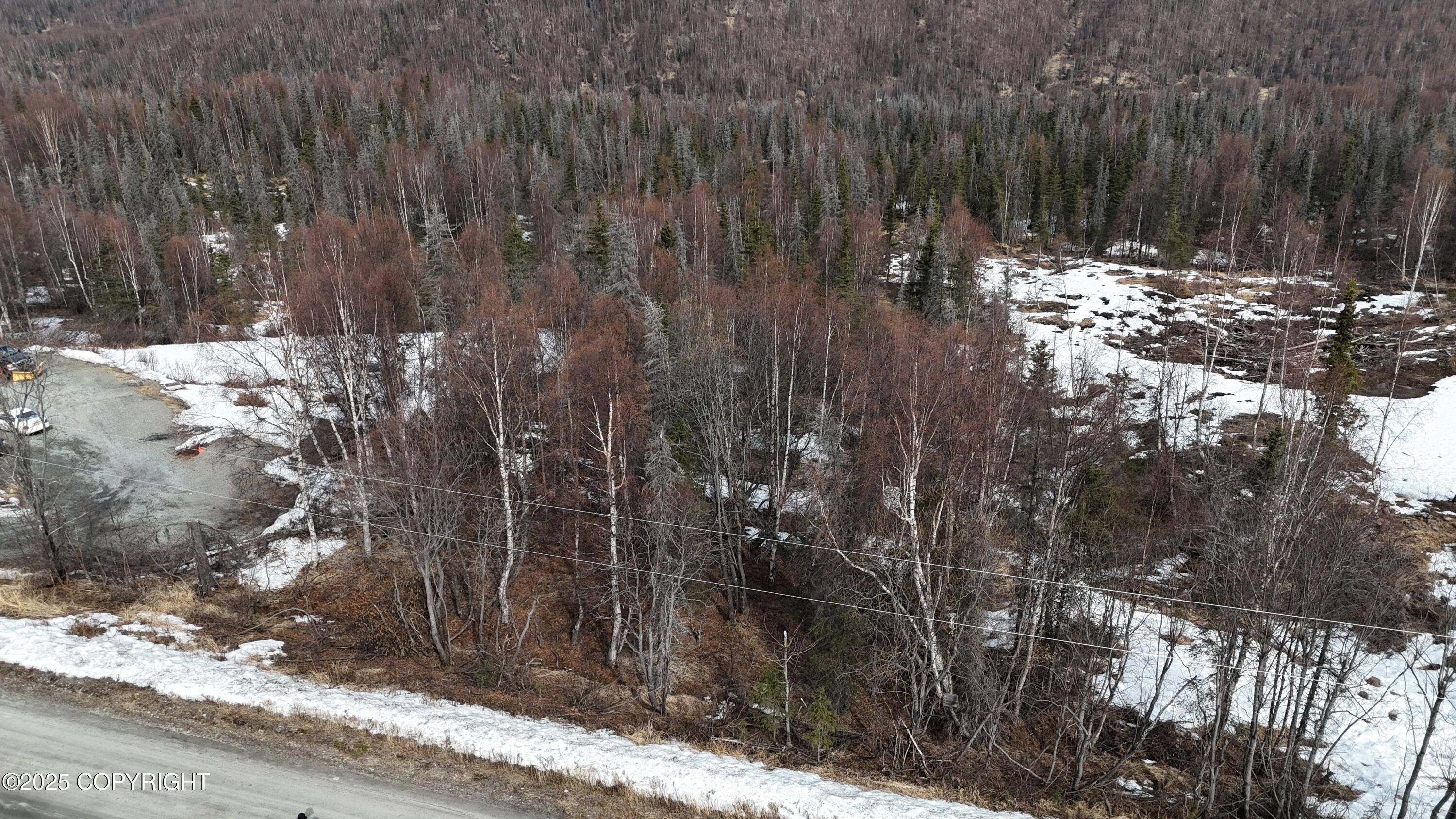 12937 W Snowberry Road, Willow, Alaska image 10