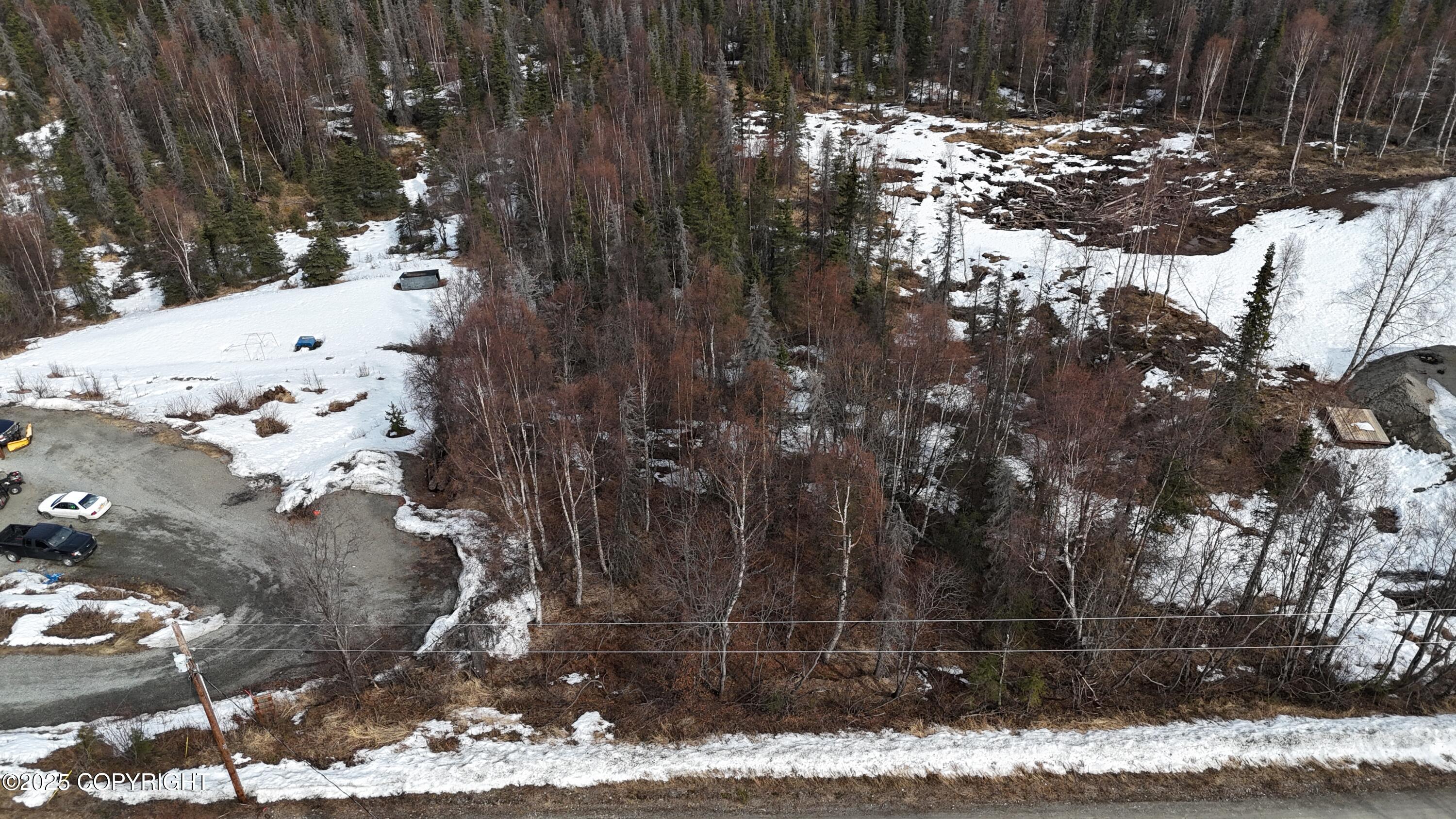 12937 W Snowberry Road, Willow, Alaska image 7