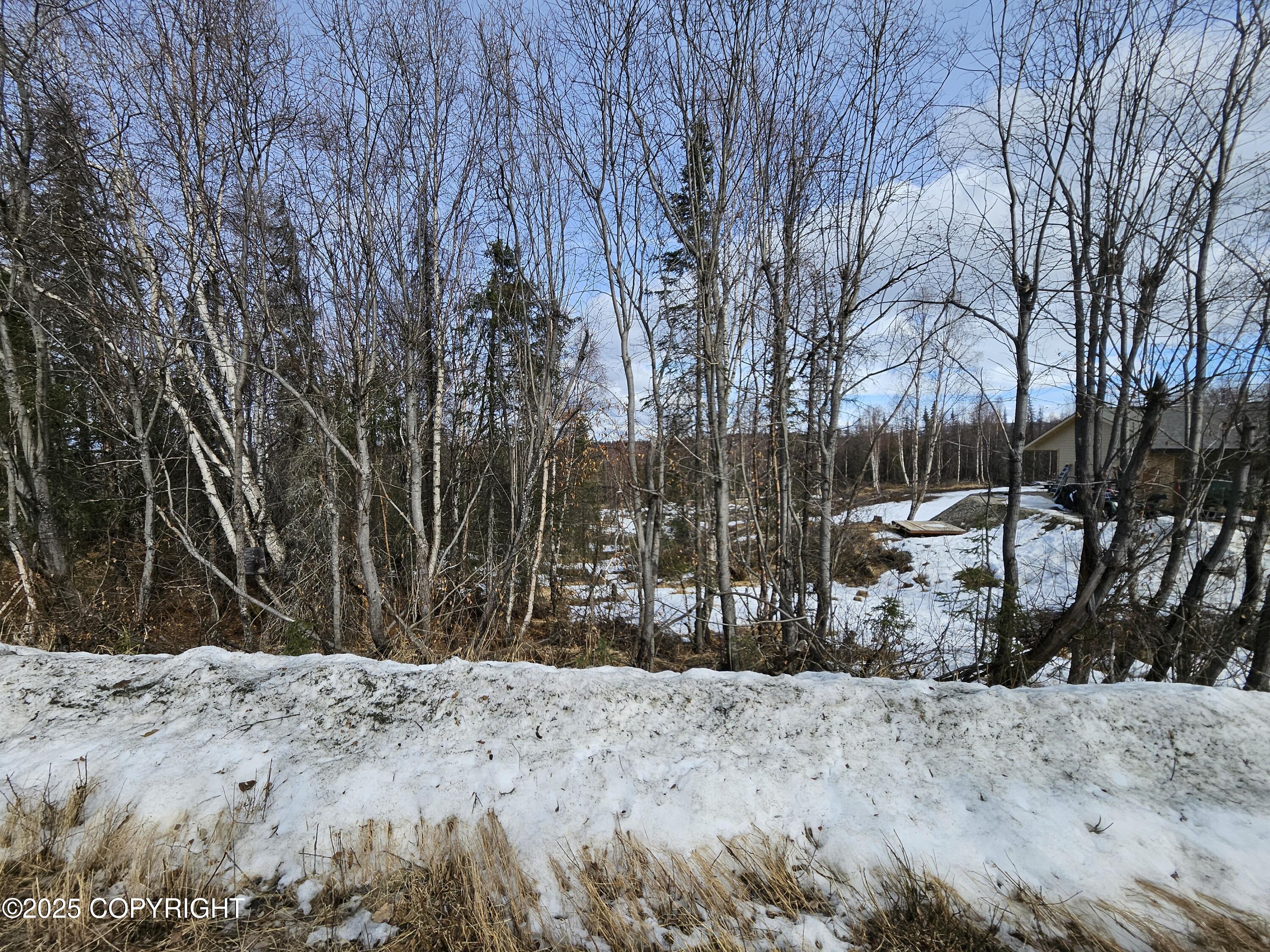 12937 W Snowberry Road, Willow, Alaska image 4
