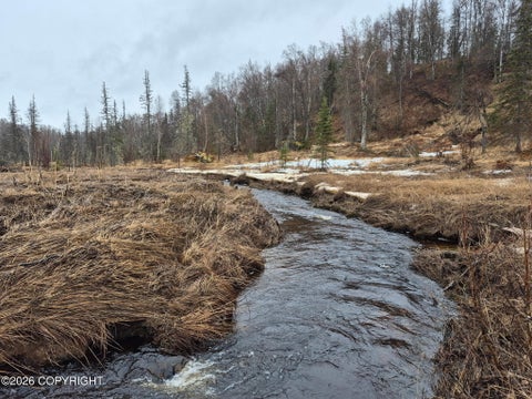Photo of 000 ASLS 91-040, Trapper Creek, AK 99683 (MLS # 26-7081)
