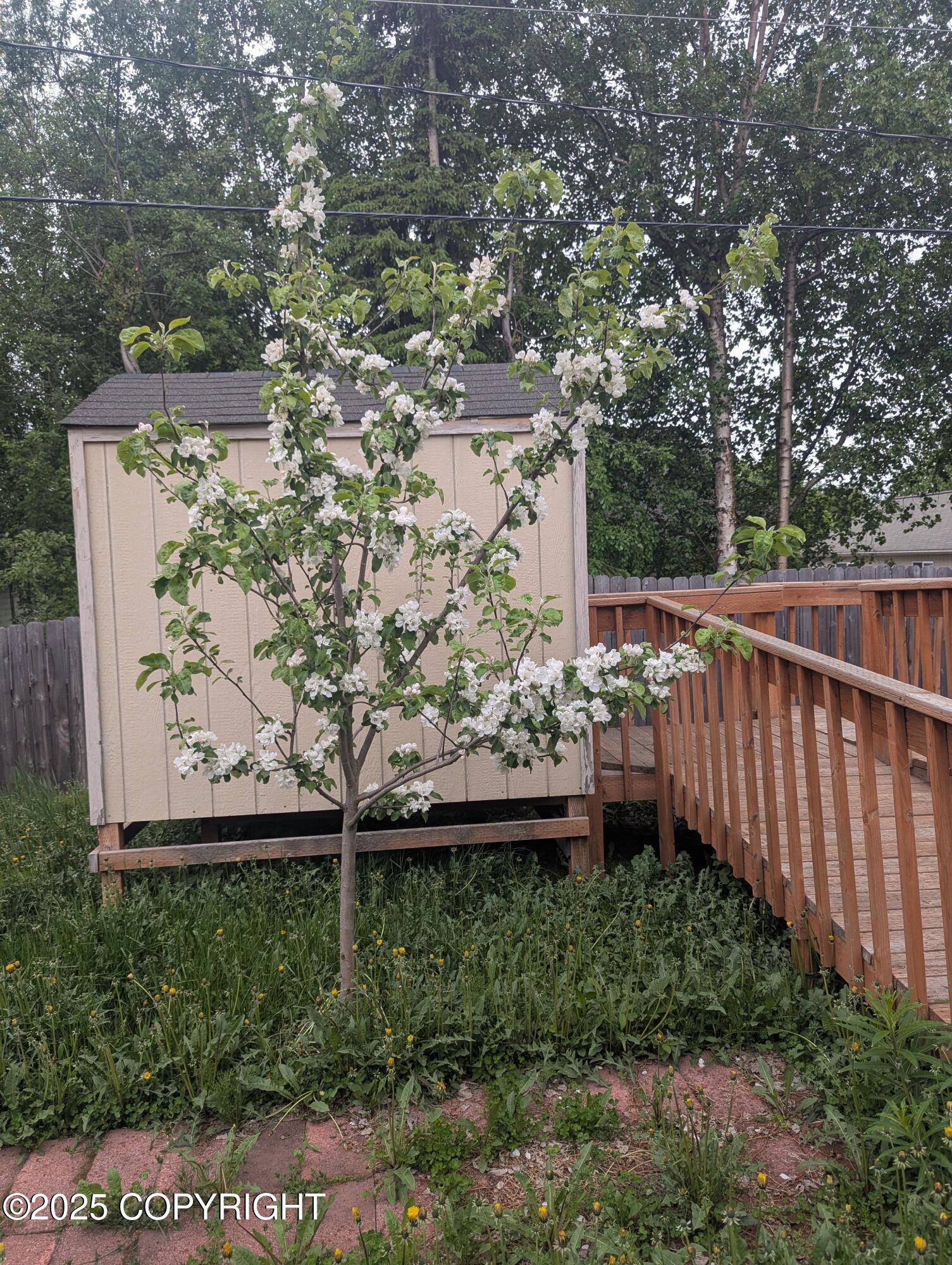 7324 Zurich Street, Anchorage, Alaska image 38