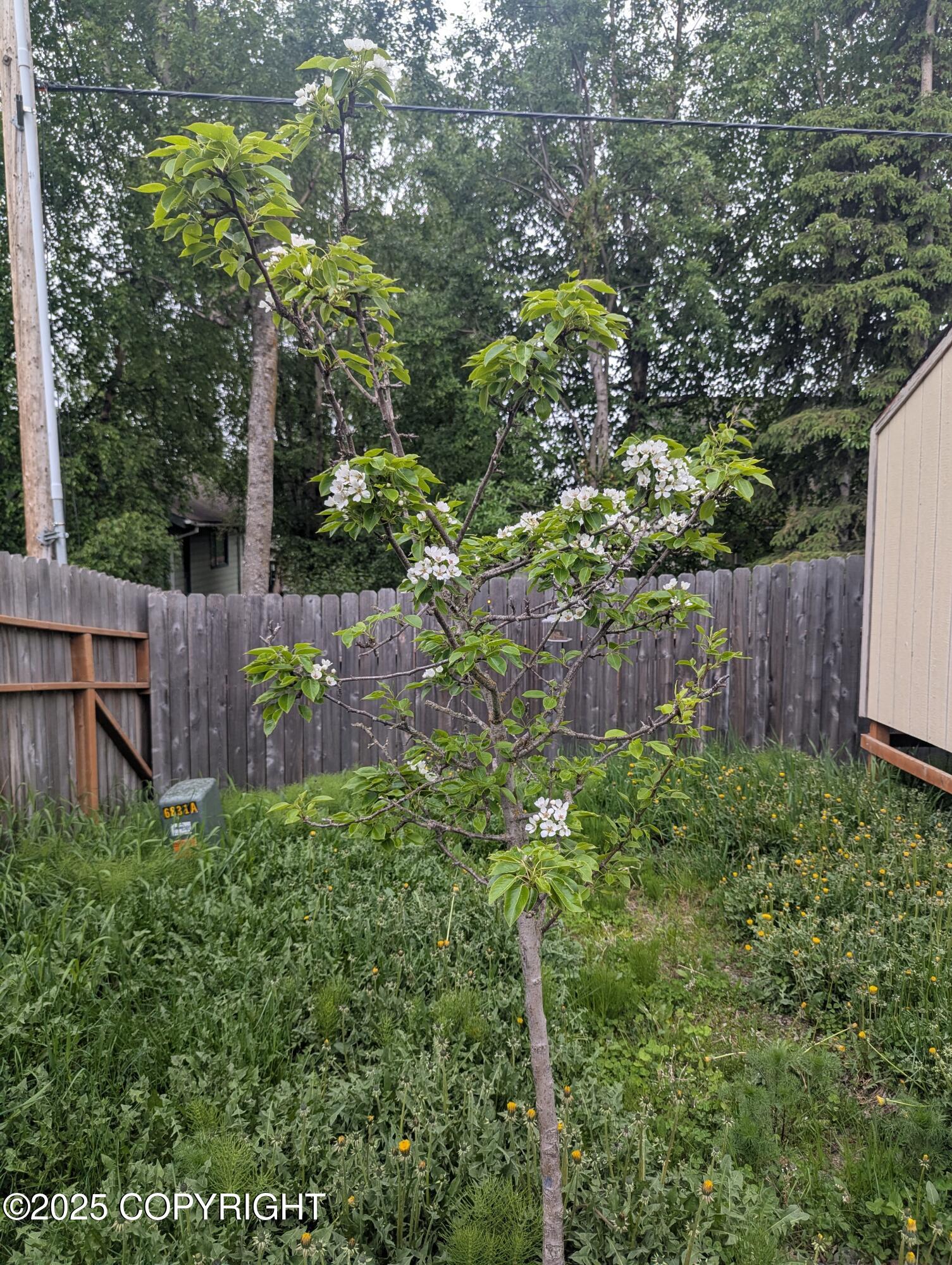 7324 Zurich Street, Anchorage, Alaska image 37