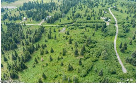 Vacant Land For Sale - 22512 Lowell Street<br/> Ninilchik, AK 99639