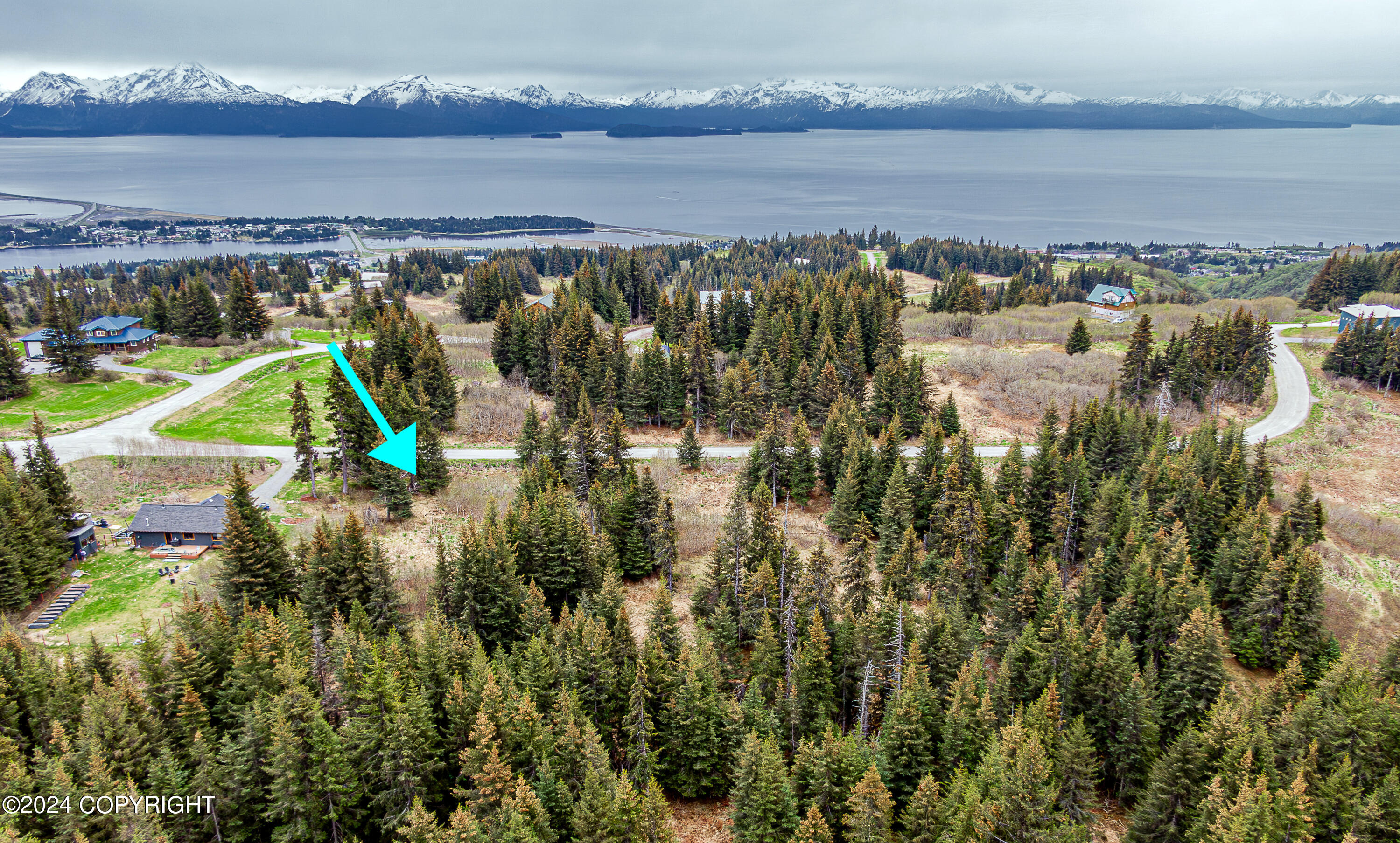 188 Tulin Terrace Boulevard, Homer, Alaska image 10