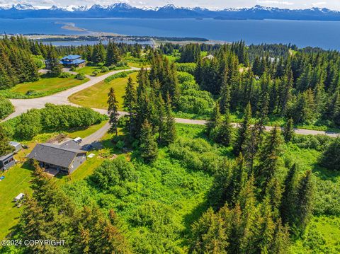 Vacant Land For Sale - 188 Tulin Terrace Boulevard<br/> Homer, AK 99603