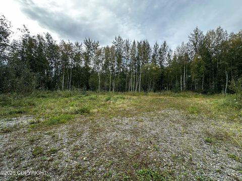 Vacant Land For Sale - 3151 Badger Road<br/> North Pole, AK 99705
