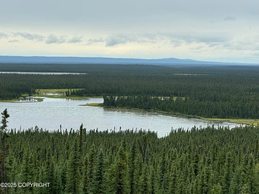 L7 LOU ANNE LANE, GAKONA, AK 99586 - Image 1d6bab856765dfa6881df34a8c2d2ff7/3632414363