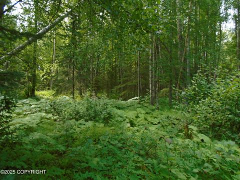 Vacant Land For Sale - 15032 W Necrason Drive<br/> Big Lake, AK 99652
