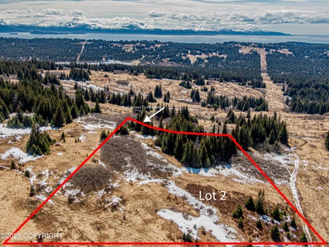 Vacant Land For Sale - L2 Salin's Spur Road<br/> Homer, AK 99603