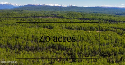 Photo of NHN No Road Name, Willow, AK 99688 (MLS # 26-7197)