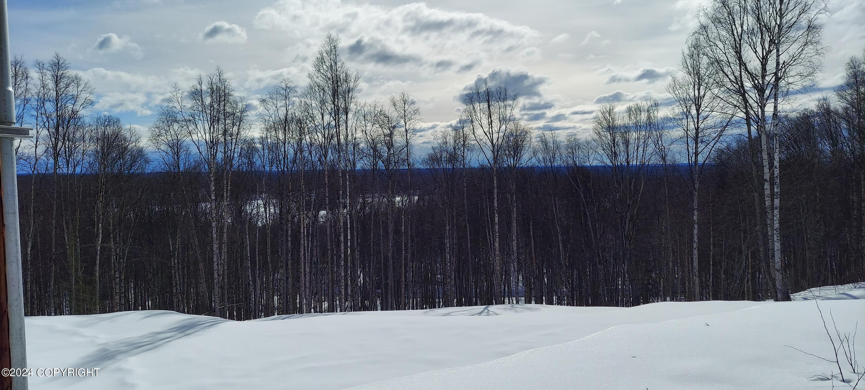 B1 L8A E Mt Russell Drive, Talkeetna, Alaska image 8