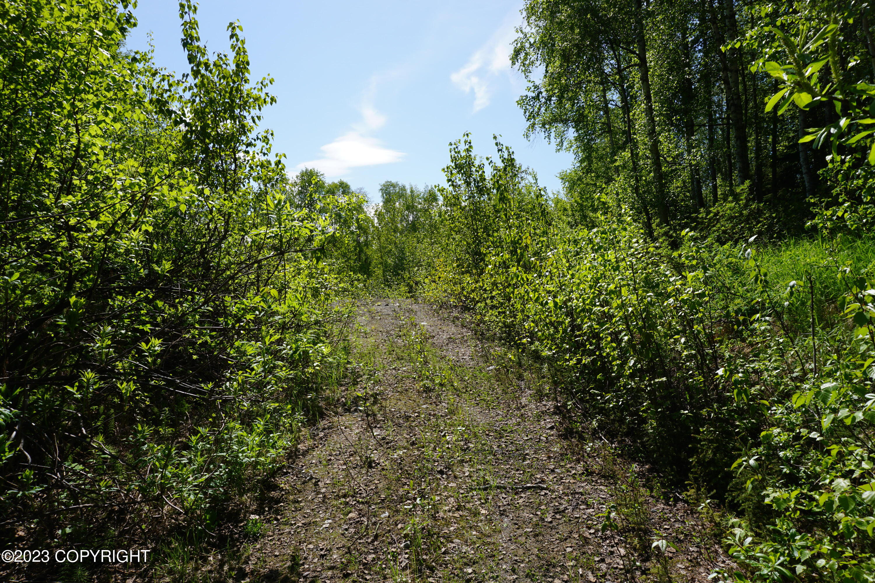 B1 L8A E Mt Russell Drive, Talkeetna, Alaska image 31