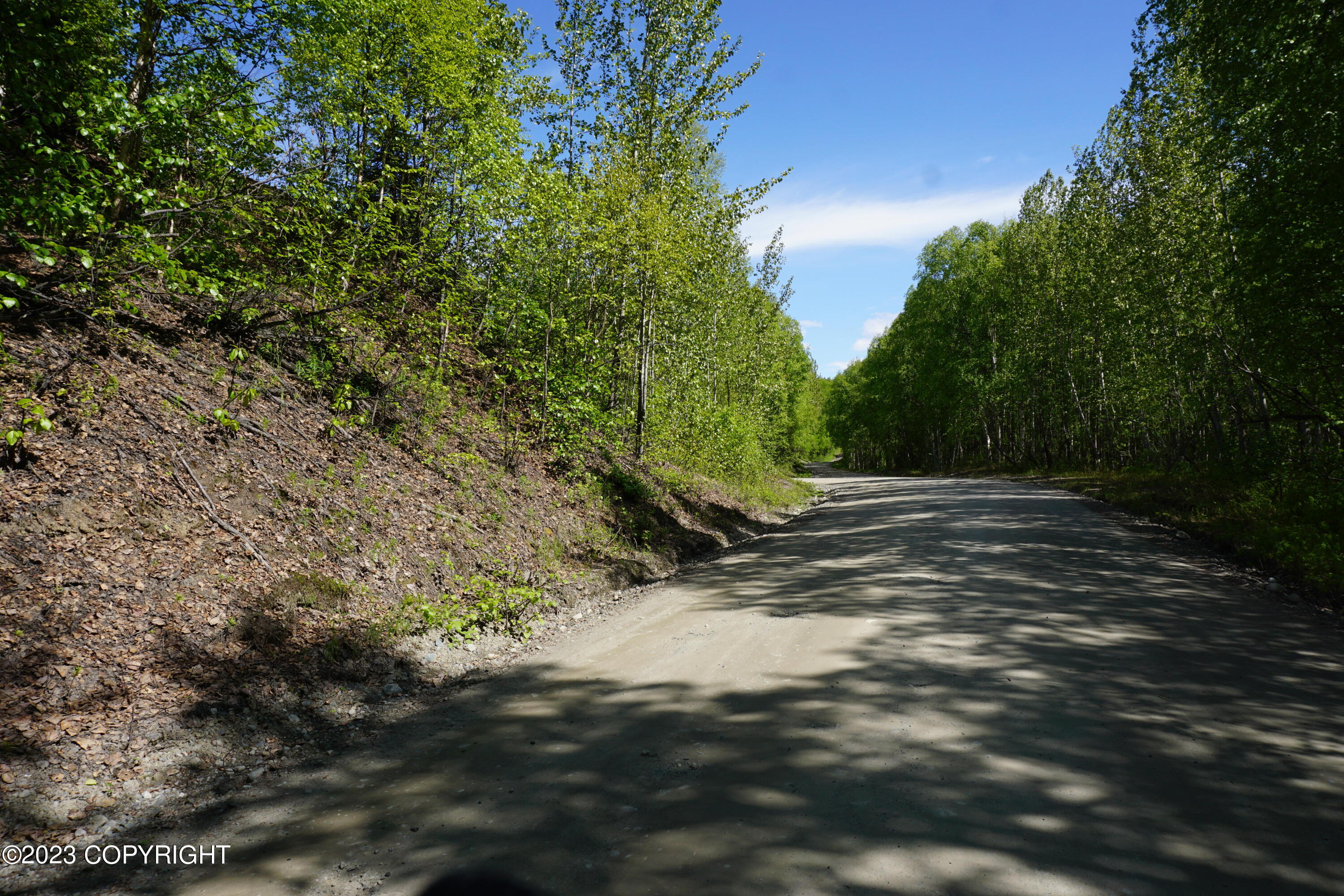 B1 L8A E Mt Russell Drive, Talkeetna, Alaska image 39