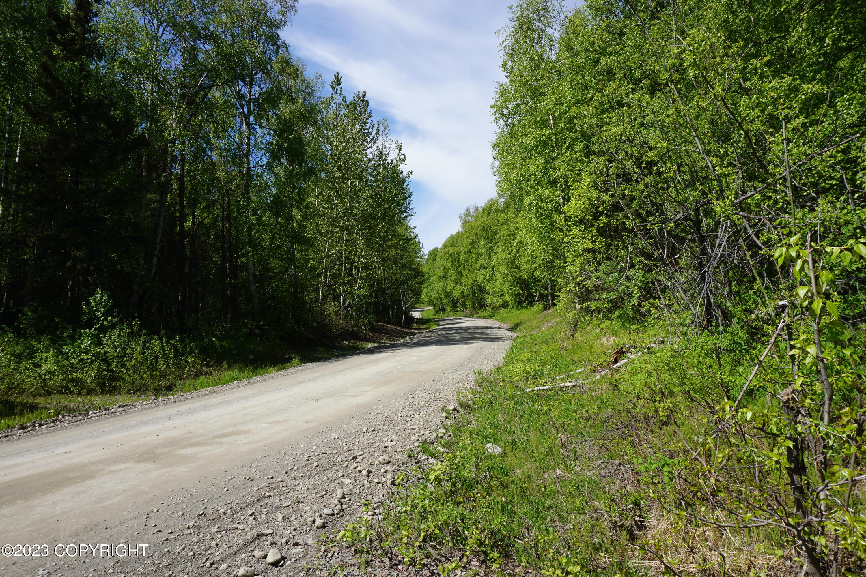 B1 L8A E Mt Russell Drive, Talkeetna, Alaska image 30