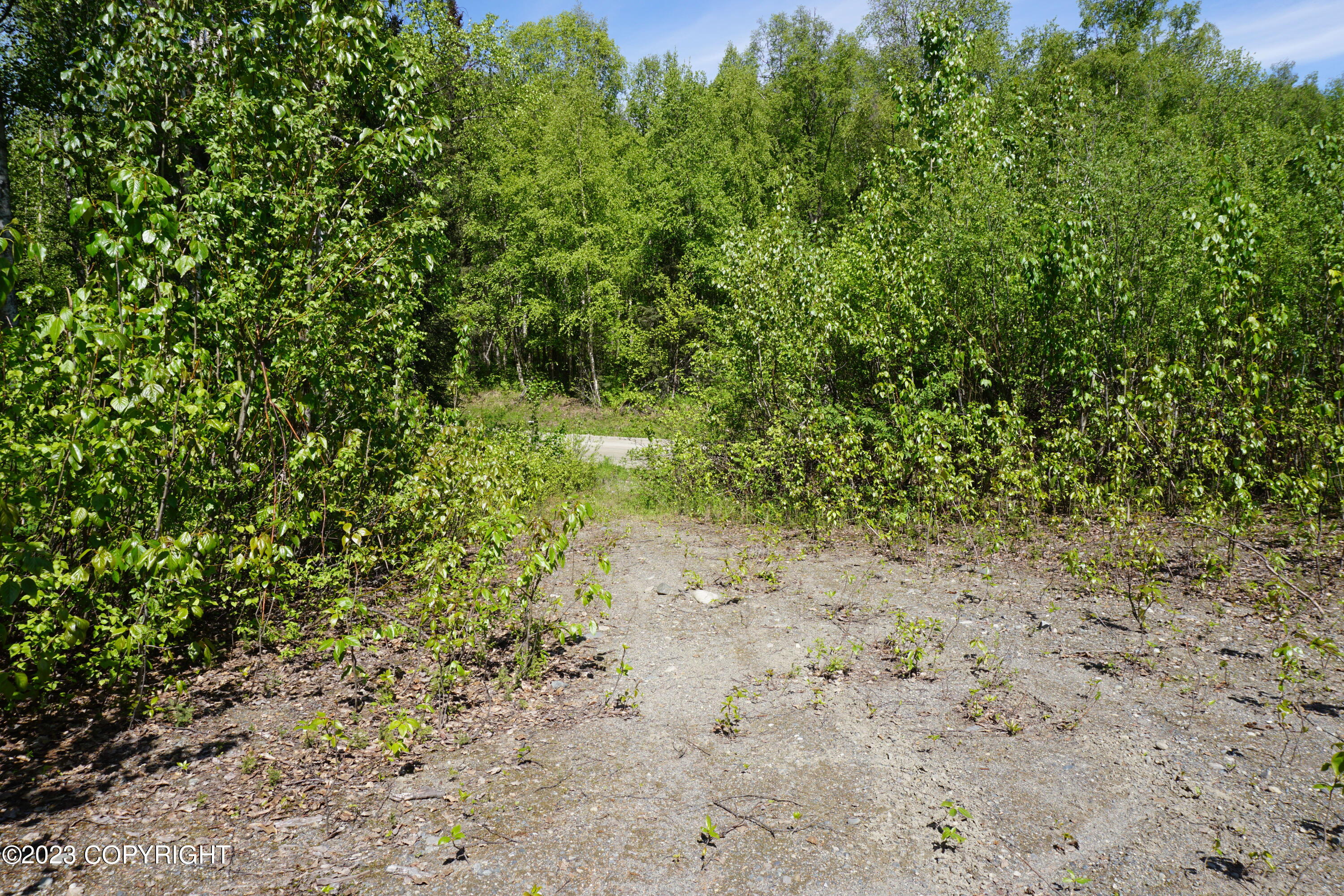 B1 L8A E Mt Russell Drive, Talkeetna, Alaska image 35