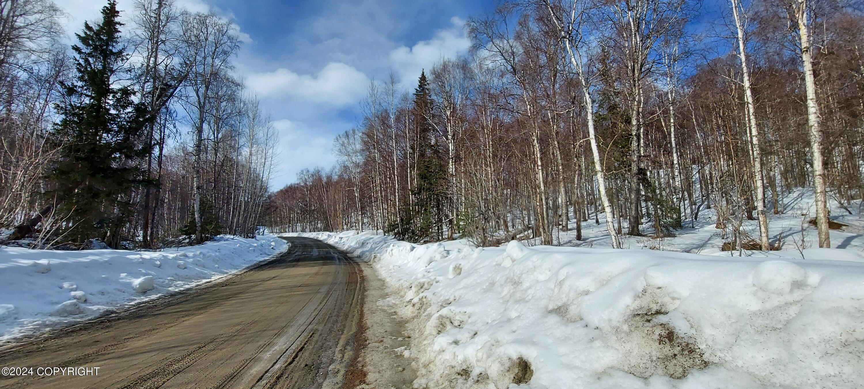 B1 L8A E Mt Russell Drive, Talkeetna, Alaska image 13