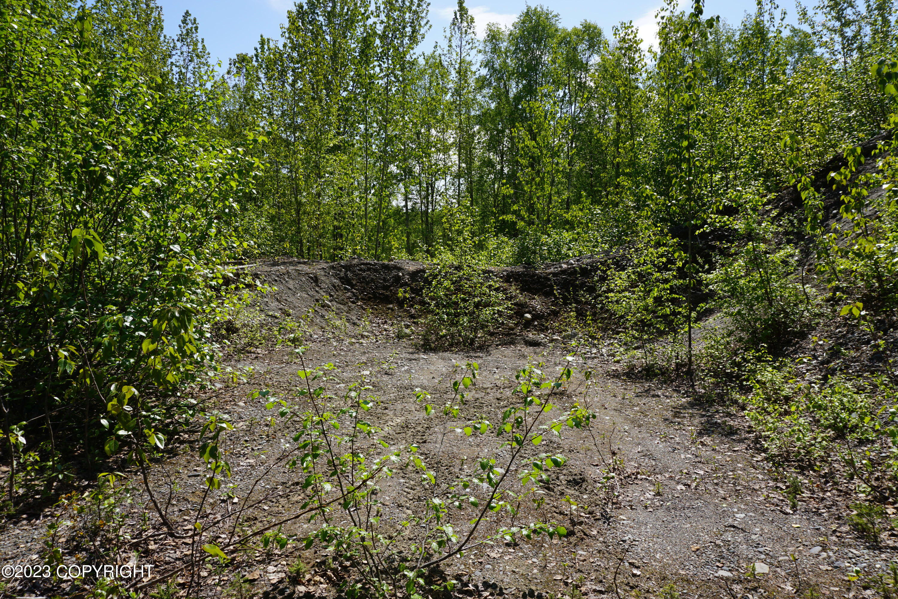 B1 L8A E Mt Russell Drive, Talkeetna, Alaska image 32