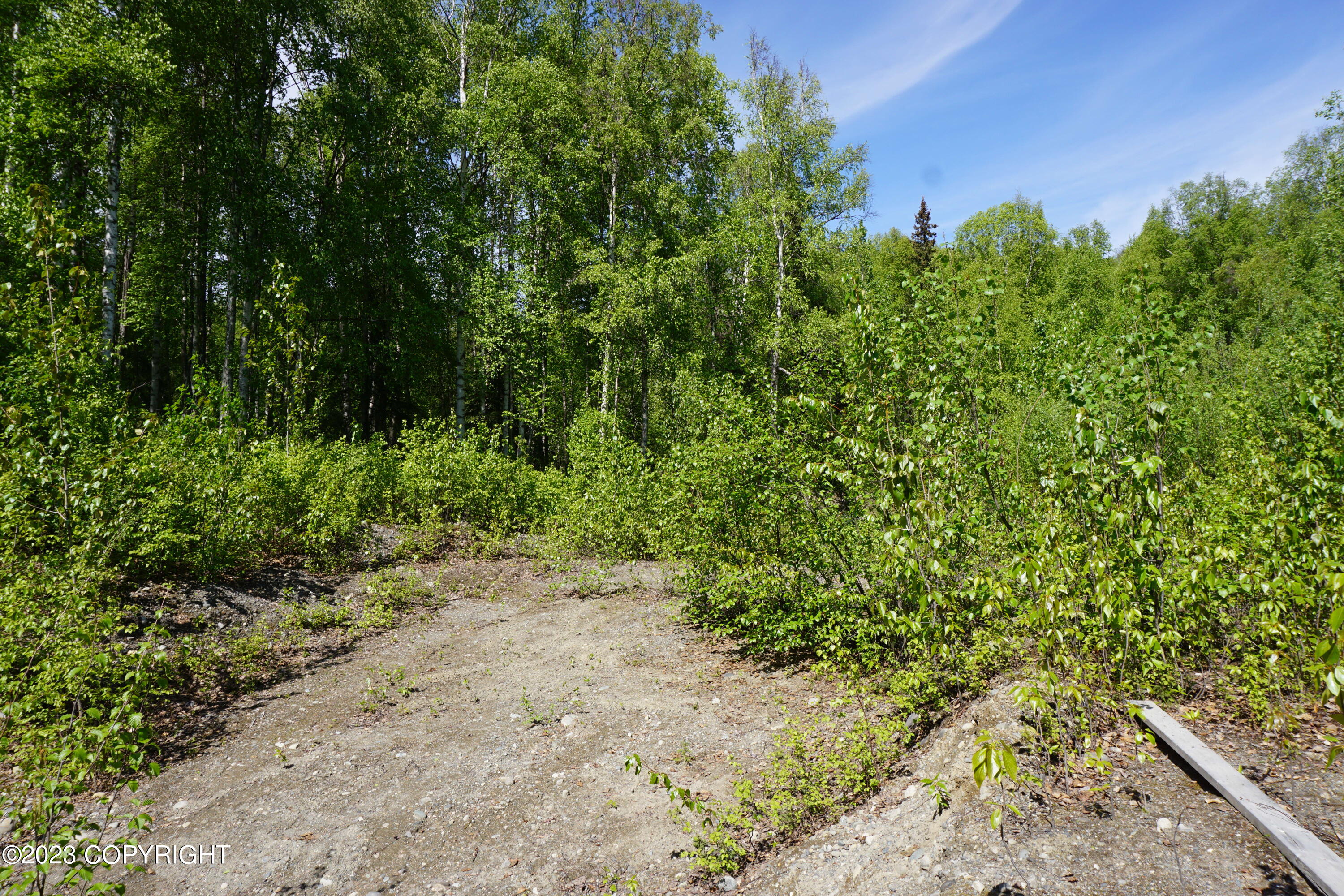 B1 L8A E Mt Russell Drive, Talkeetna, Alaska image 34