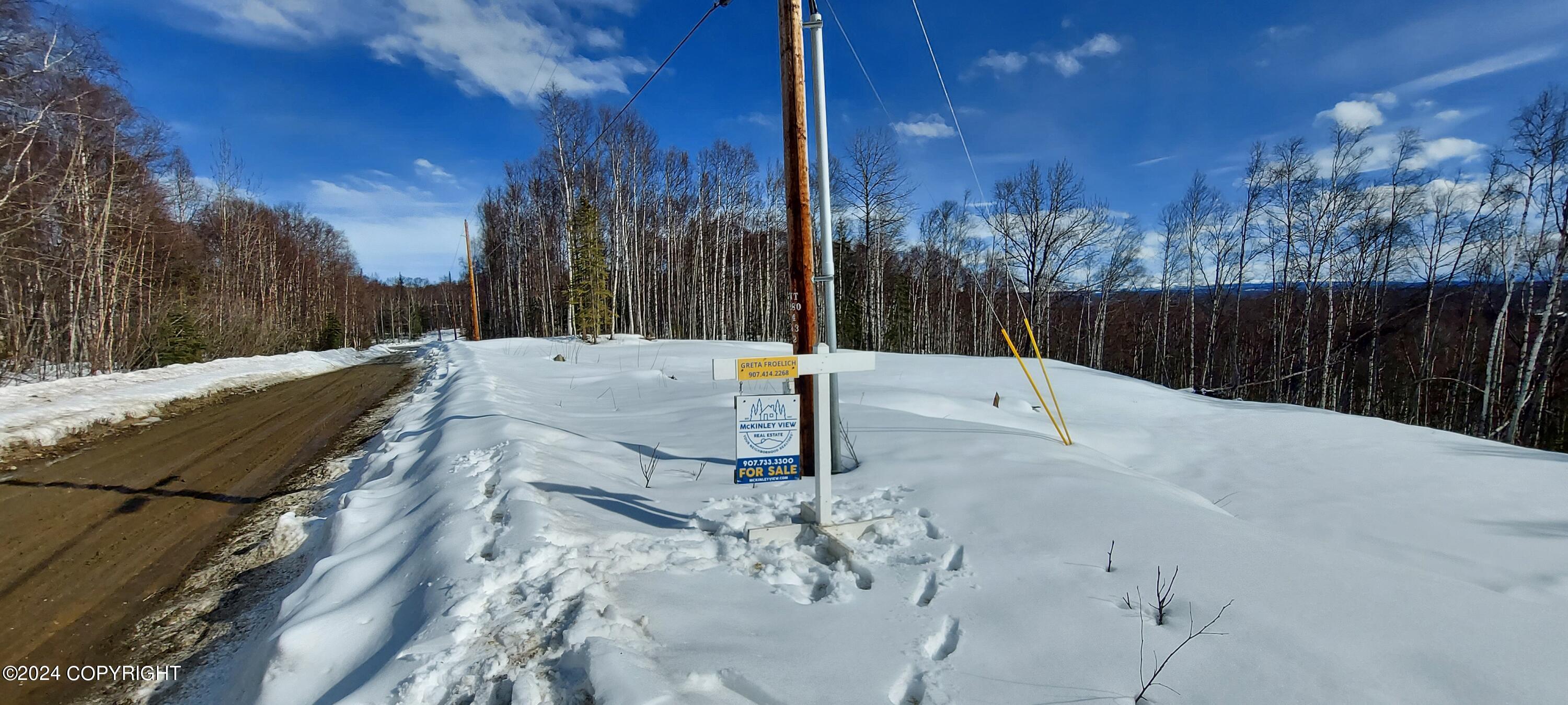 B1 L8A E Mt Russell Drive, Talkeetna, Alaska image 11