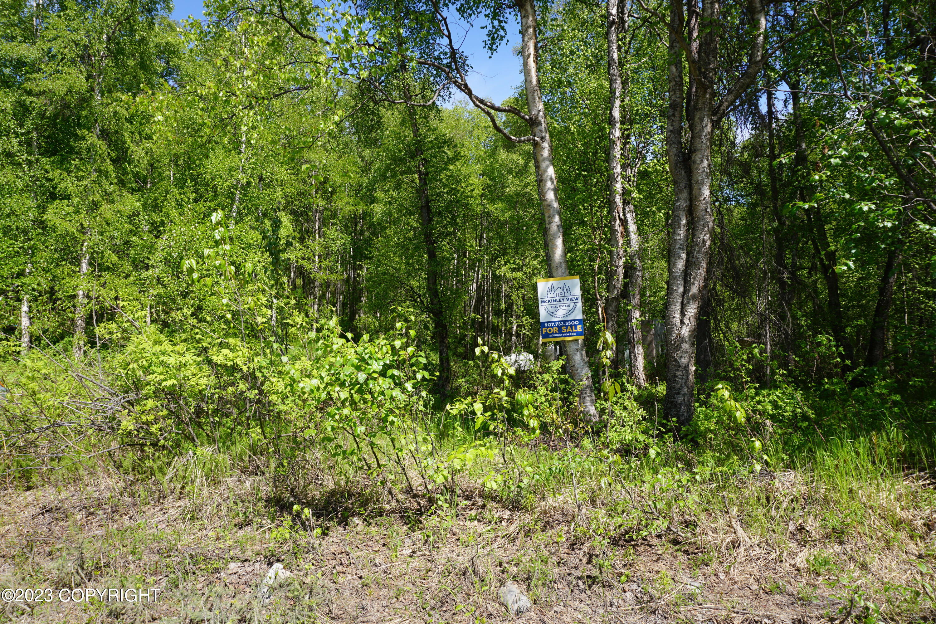 B1 L8A E Mt Russell Drive, Talkeetna, Alaska image 37