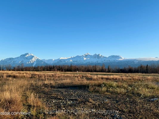 5499 E FOREVER VIEW CIRCLE, WASILLA, AK 99654 - Image 1dd2885f02b21773072ea986872e70ce/856147381