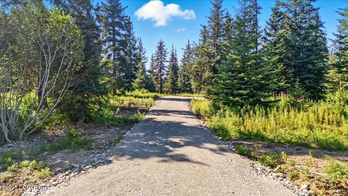 Homer, Alaska 99603, United States, ,Land,Active,193737