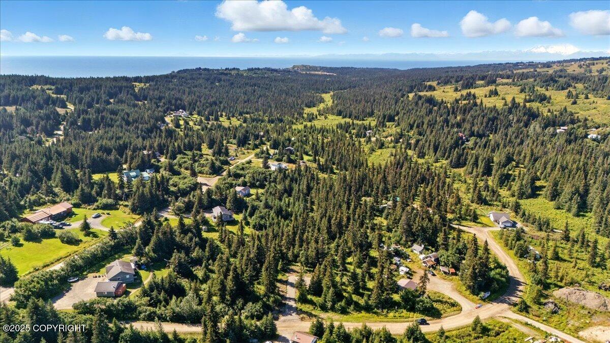 Homer, Alaska 99603, United States, ,Land,Active,193737