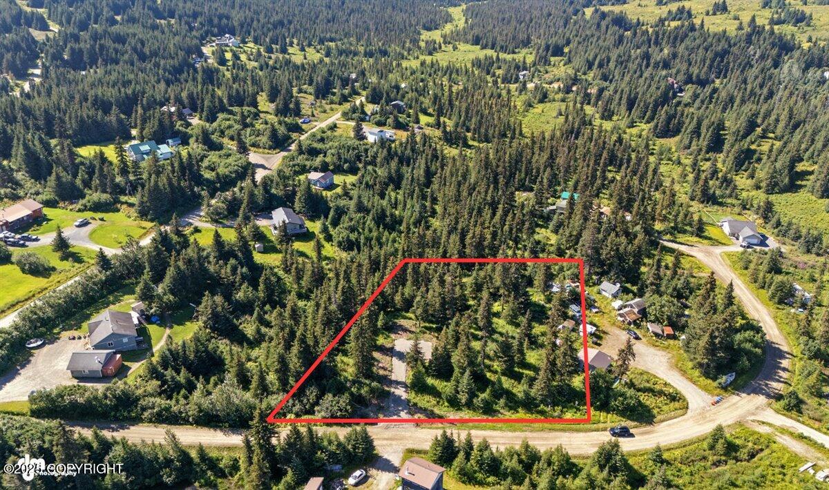 Homer, Alaska 99603, United States, ,Land,Active,193737