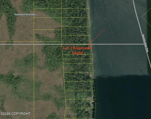 Photo of Lot 1 Kupreanof Island, Petersburg, AK 99833 (MLS # 26-5208)