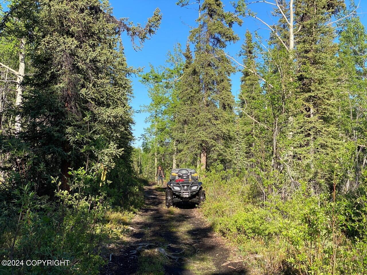 B4 - L6 Jude No Road Road, Glennallen, Alaska image 13