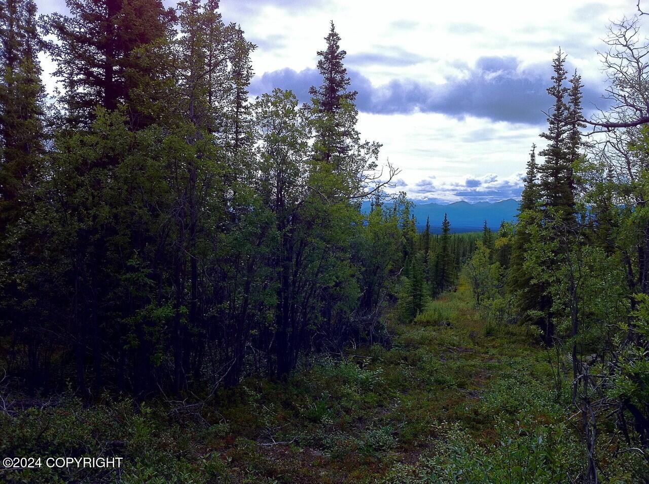 B4 - L6 Jude No Road Road, Glennallen, Alaska image 9