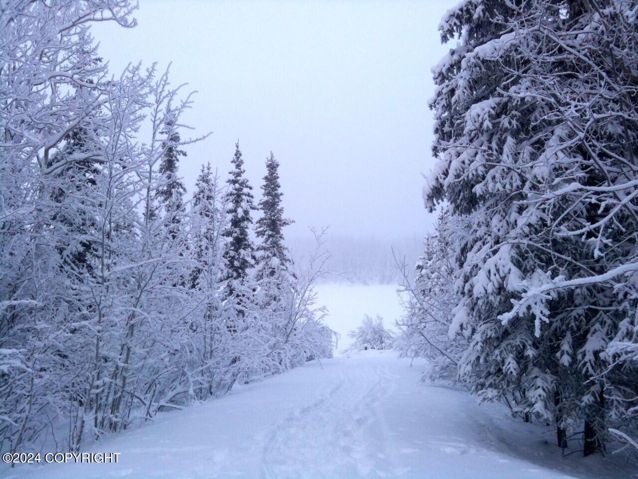 B4 - L6 Jude No Road Road, Glennallen, Alaska image 21