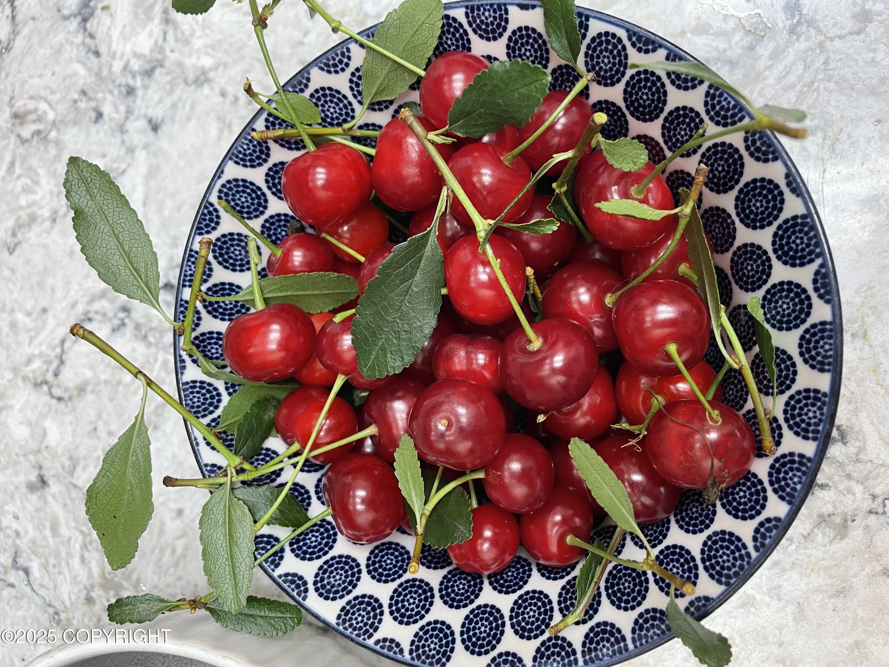 Anchorage, Alaska 99515, United States, 3 Bedrooms Bedrooms, ,3 BathroomsBathrooms,Residential,Active,234006