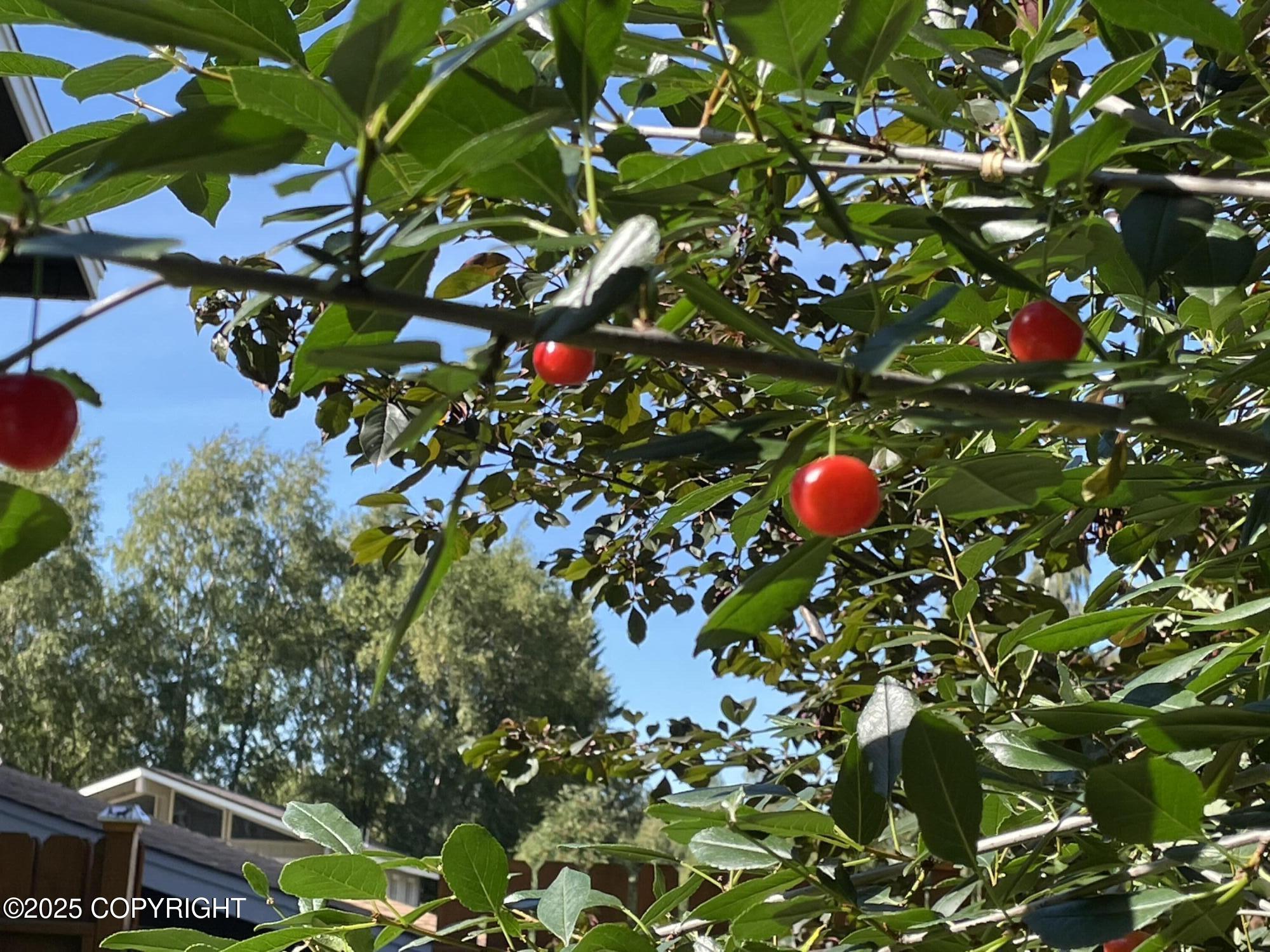 Anchorage, Alaska 99515, United States, 3 Bedrooms Bedrooms, ,3 BathroomsBathrooms,Residential,Active,234006