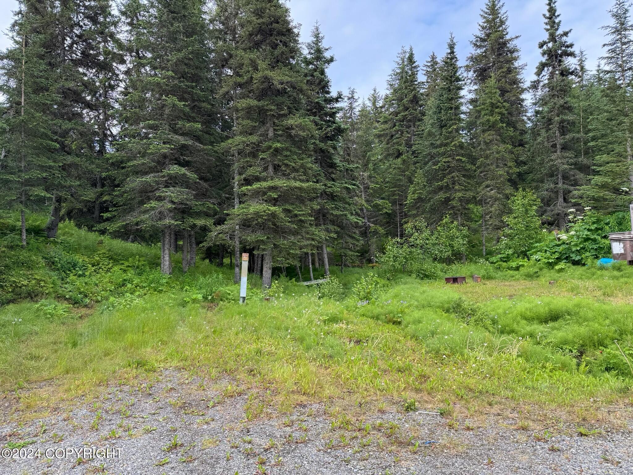 73709 Breakaway Road, Anchor Point, Alaska image 4