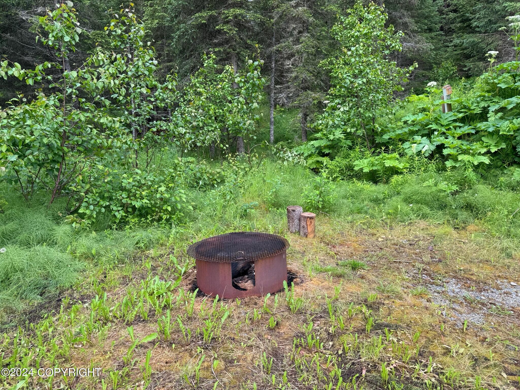 73709 Breakaway Road, Anchor Point, Alaska image 2