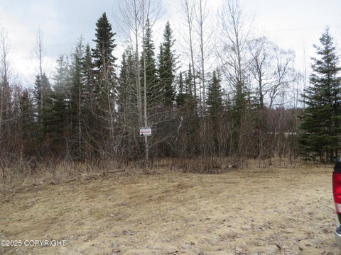 Vacant Land For Sale - 24839 Decanter Circle<br/> Kasilof, AK 99610