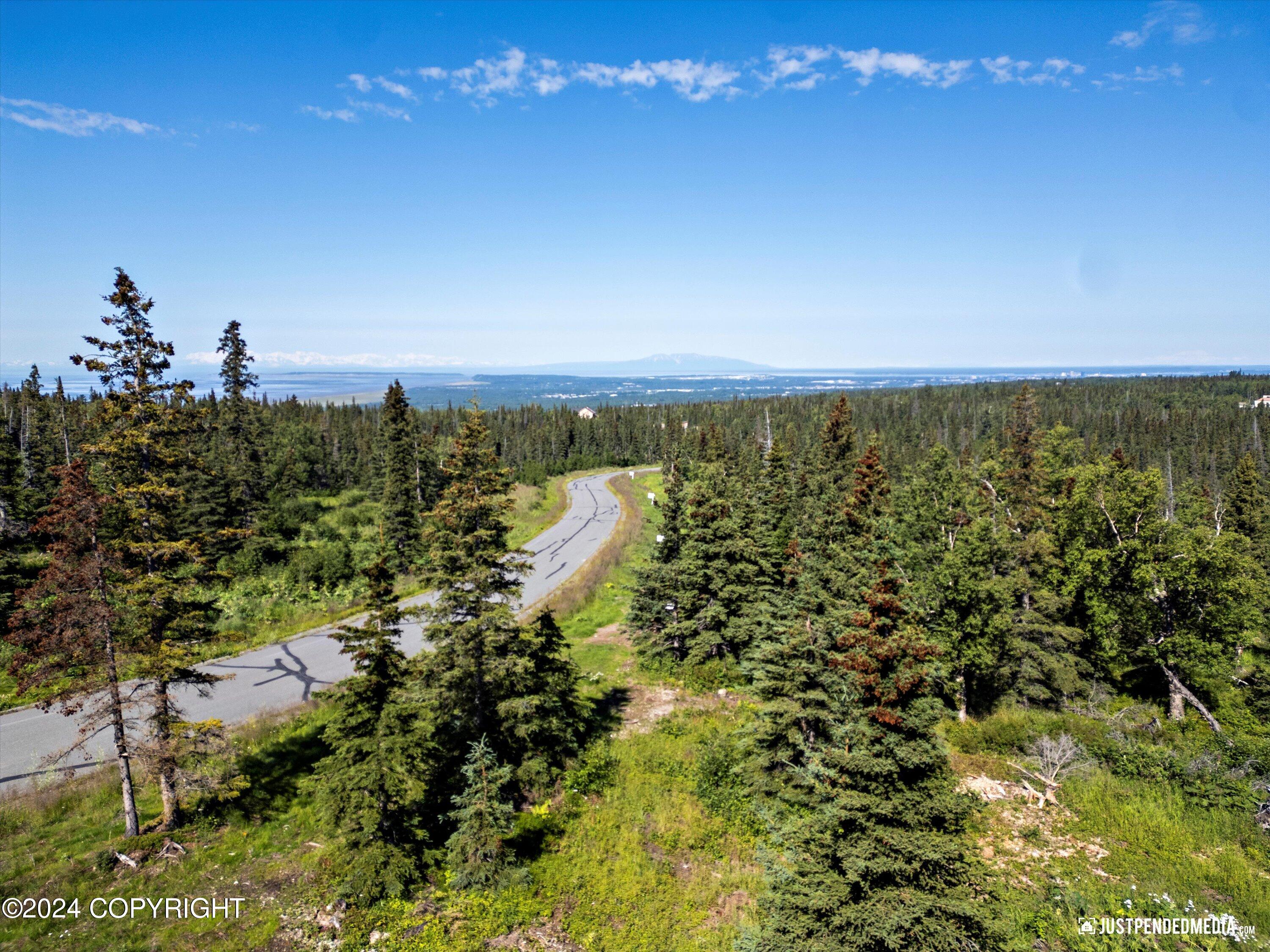 L4 B5 Mountain Air Drive, Anchorage, Alaska image 8