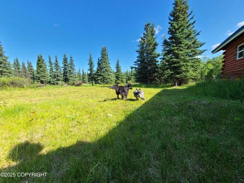 Homes For Sale - L11 B3 Tri Valley<br/> Healy, AK 99743