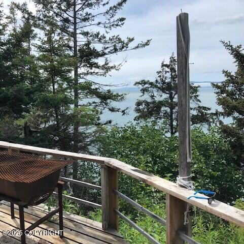 TR-F Bear Cove, Homer, Alaska image 9