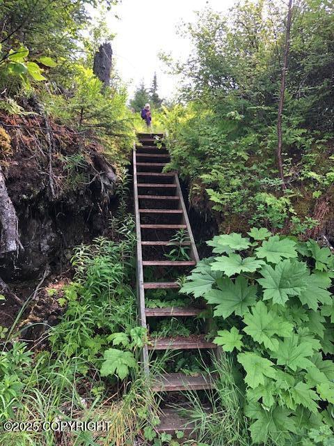 TR-F Bear Cove, Homer, Alaska image 7