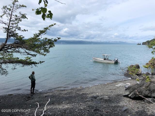 TR-F Bear Cove, Homer, Alaska image 3