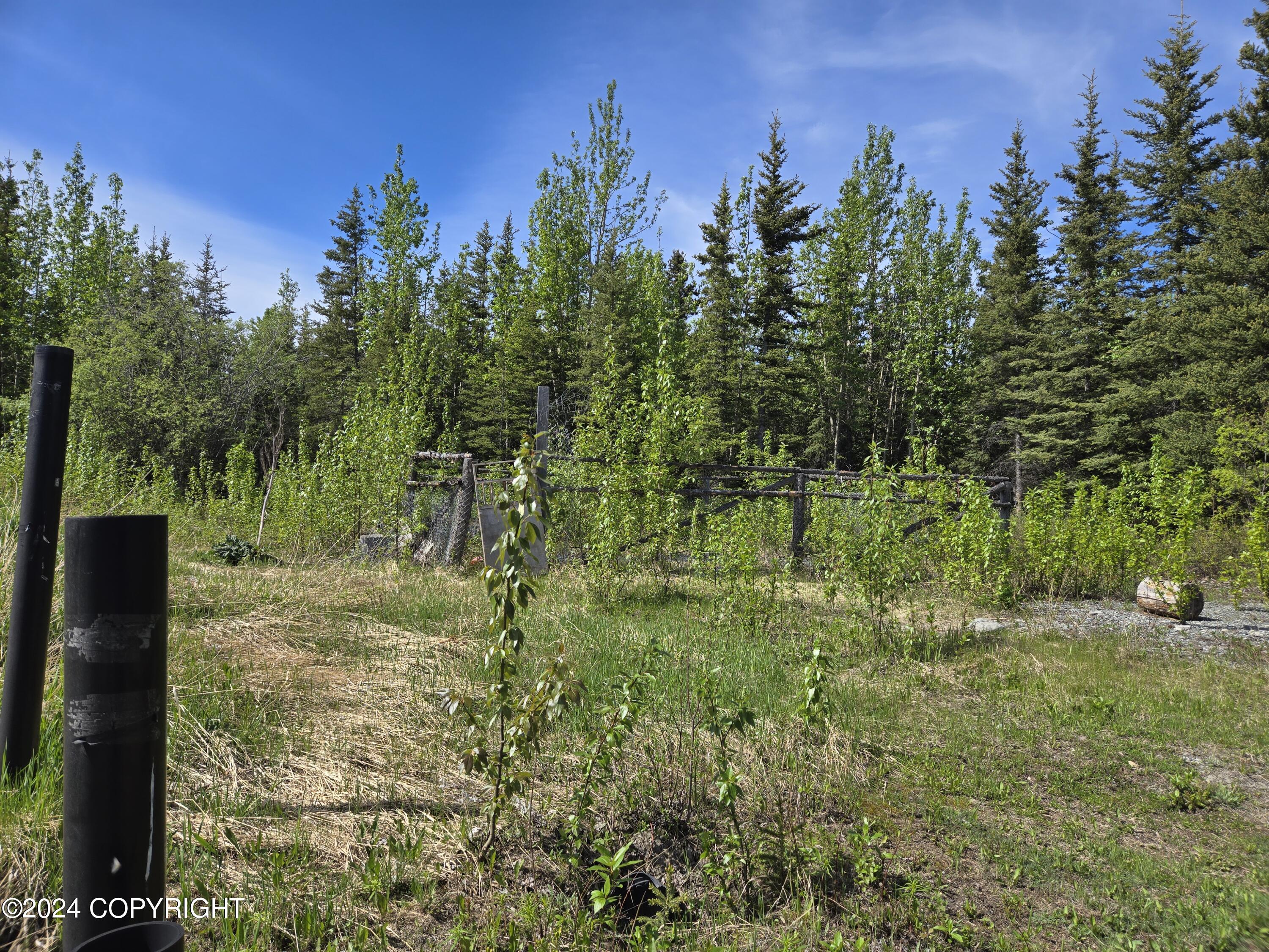 Mile 15.1 Edgerton Highway, Copper Center, Alaska image 17