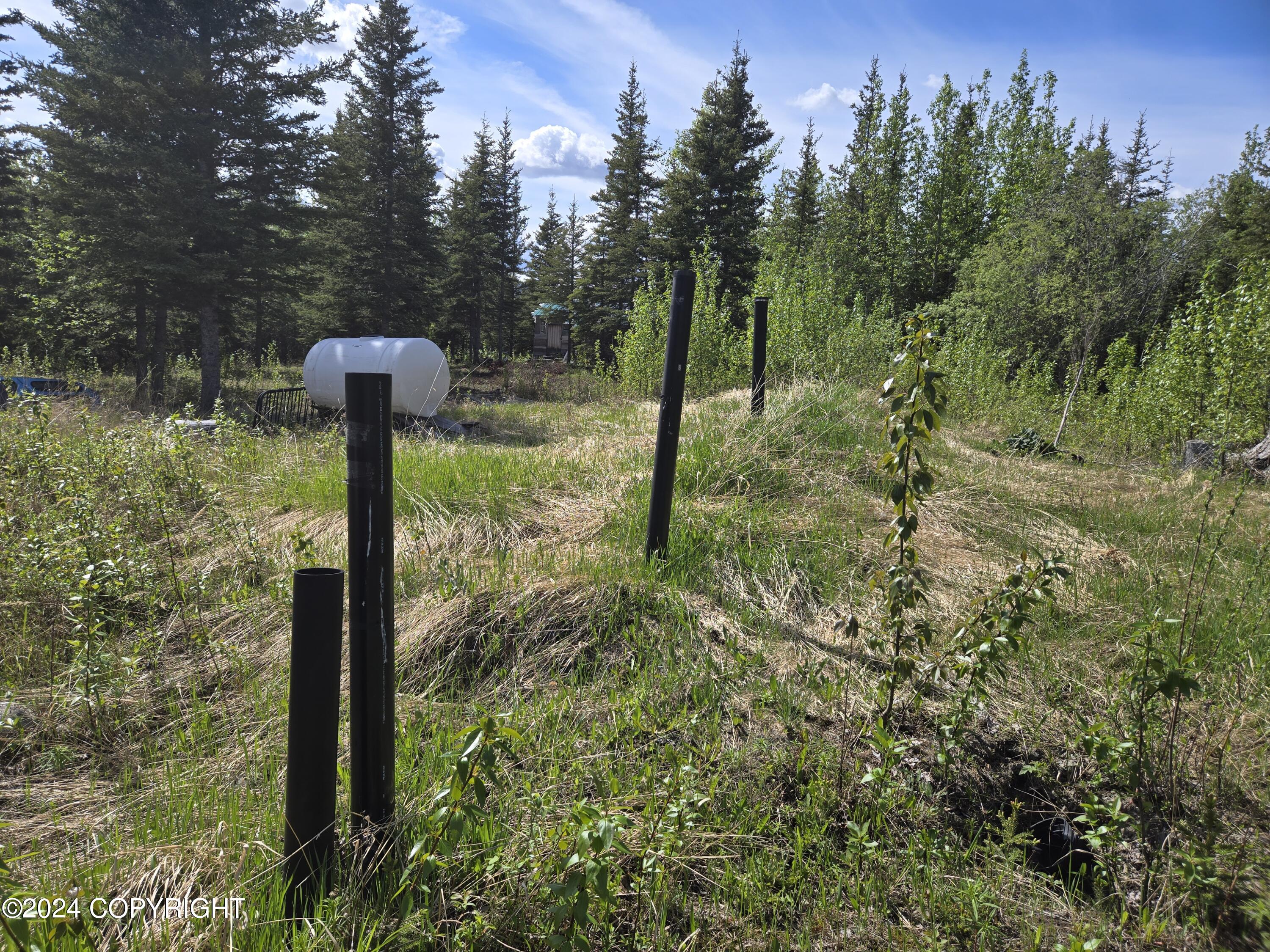 Mile 15.1 Edgerton Highway, Copper Center, Alaska image 16
