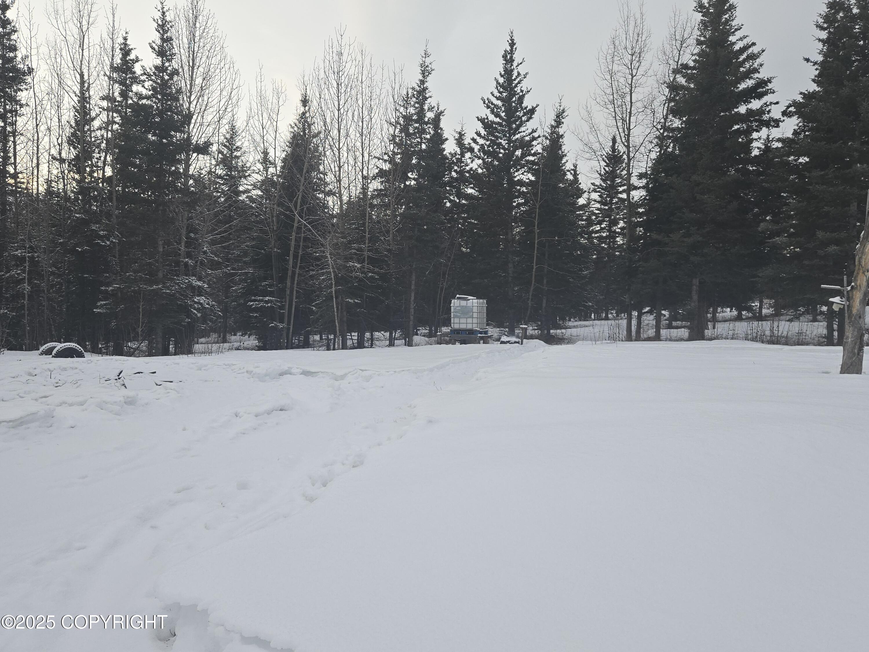 Mile 15.1 Edgerton Highway, Copper Center, Alaska image 21