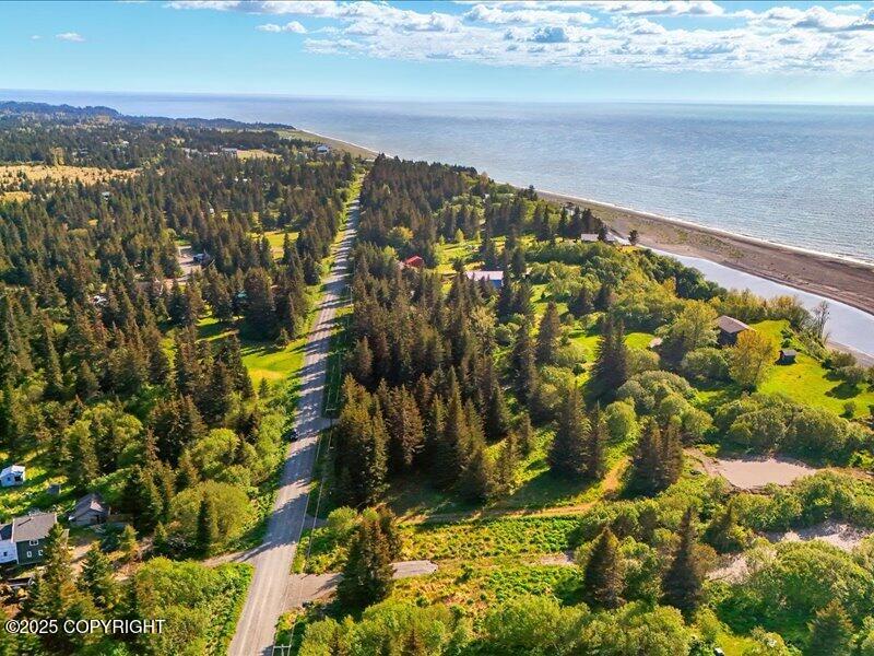 32775 Shorebird Lane, Anchor Point, Alaska image 9