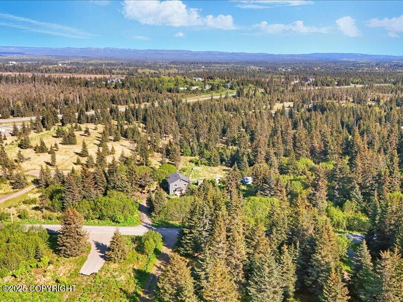 32775 Shorebird Lane, Anchor Point, Alaska image 4