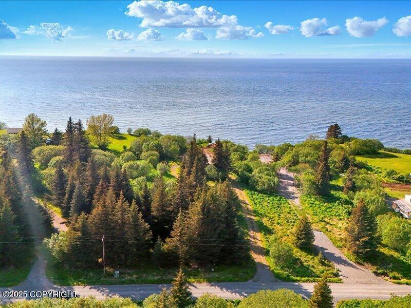 32775 Shorebird Lane, Anchor Point, Alaska image 5