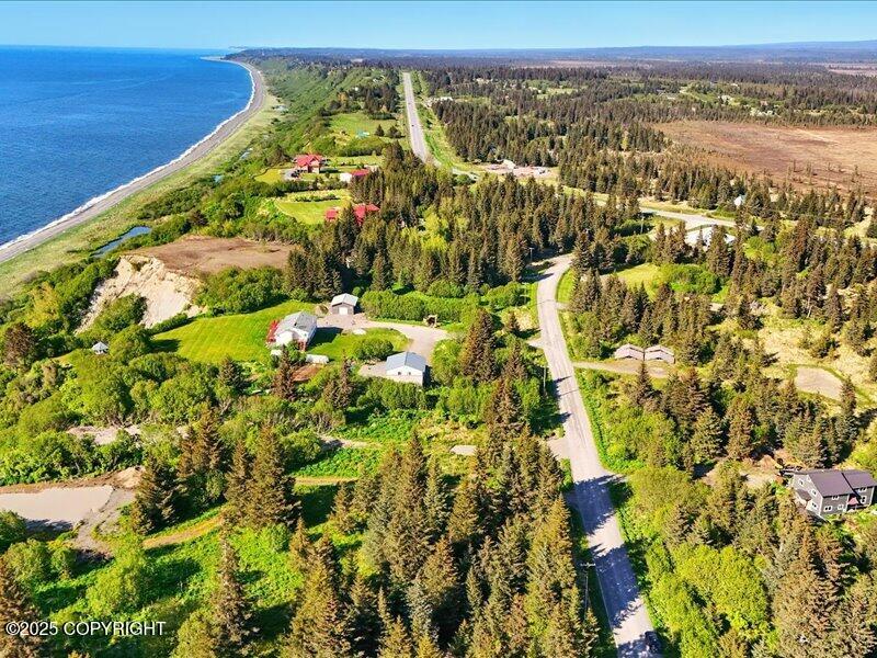 32775 Shorebird Lane, Anchor Point, Alaska image 12