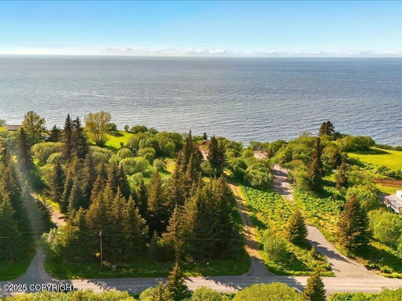 32775 Shorebird Lane, Anchor Point, Alaska image 16